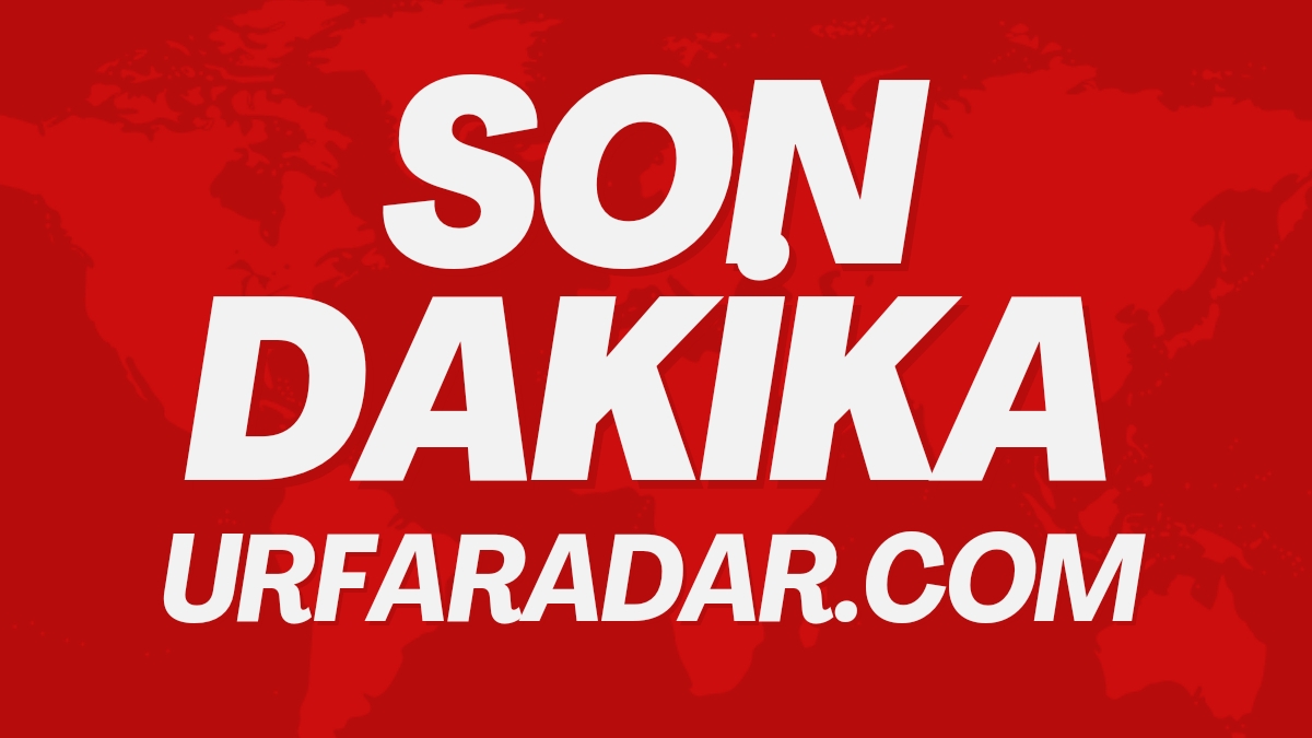 TEKNOLOJİ