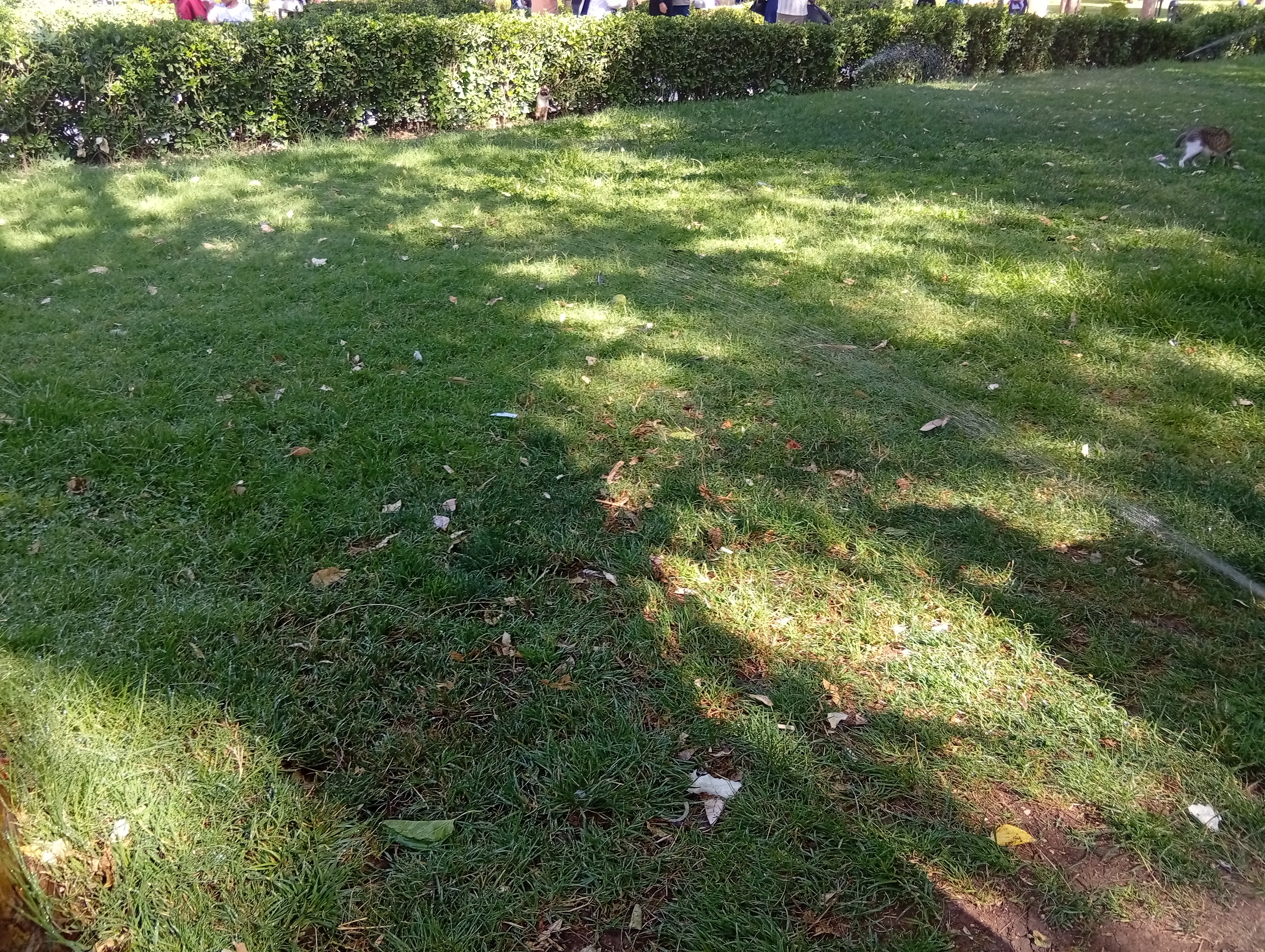 Balıklıgöl  Platosu Hızla Yıpranıyor