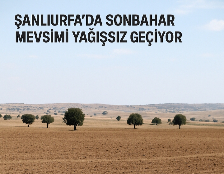 Urfa'da Yağış Yok Ekim Yapılamıyor 