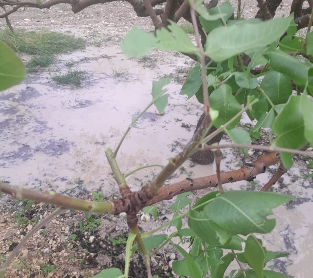 Fırtına Urfa'yı Fena Vurdu